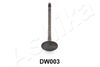 15DW003_1.JPG