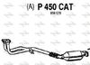 P450CAT.JPG
