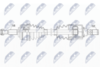 NPW-RE-164_9-WM.PNG