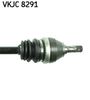 VKJC 8291_3.JPG