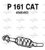 P161CAT.JPG