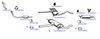 OP-EXSVG245_20260529081906.JPG
