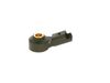 Bosch Knock Sensor 0261231197