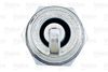 VALEO_SPARK_PLUG_246893_03.JPG
