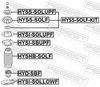 HYSI-SBUPF_1.JPG