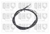 QH_BC3364.JPG