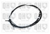 QH_BC3816.JPG