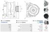 A01258(SEG)_256960.JPG