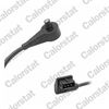 CS0054.JPG