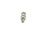 Bosch Nozzle and Holder Assembly 9 430 610 125