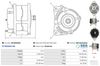 A01020(SEG)_256961.JPG