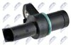 ECP-BM-006_2-WM.JPG
