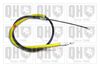 QH_BC4153.JPG