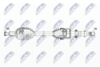 NPW-RE-174_9-WM.PNG