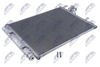 CCS-HY-046_1-WM.JPG