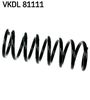 VKDL 81111.JPG