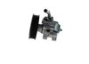 BOSCH Hydraulic Pump, steering K S00 910 005