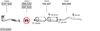 SYS12462.JPG