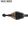 VKJC 8203_2.JPG