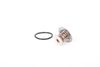 Termostat, chladivo 28.0200-4096.2