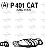 P401CAT.JPG