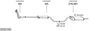 SYS21762.JPG
