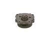 Bosch Fuel Pump 0440050010