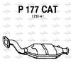 P177CAT.JPG