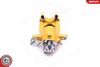 SKV_44SKV654 YELLOW_WM_03.JPG
