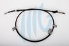 01180F54.JPG