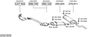 SYS17879.JPG