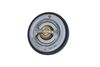 Termostat, chladivo 725215