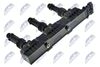 ECZ-PL-025_2-WM.JPG