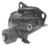BEM3772_210603.JPG
