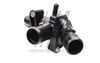 FT58046_1_1.JPG