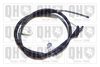 QH_BC3337.JPG
