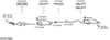 SYS11498.JPG
