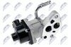 EGR-MZ-000_2-WM.JPG