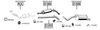 SK210480.BMP