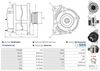 A01401(SEG)_256960.JPG