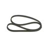 Bosch V-Ribbed Belt 1 987 946 216 (1987946216)