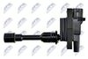 ECZ-MZ-017_3-WM.JPG