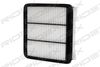 8055460_372.JPG