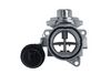 AGR-Ventil 703225