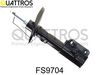 fs9704.JPG