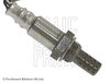 ADC47019_2.JPG