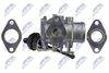 egr-vw-031_6-wm.JPG