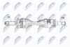 NPW-PE-105_9-WM.PNG
