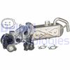 Клапан зворотного потоку ОГ DELPHI EG10472-12B1 (EG10472)