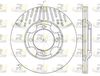6381-10-MODEL.BMP